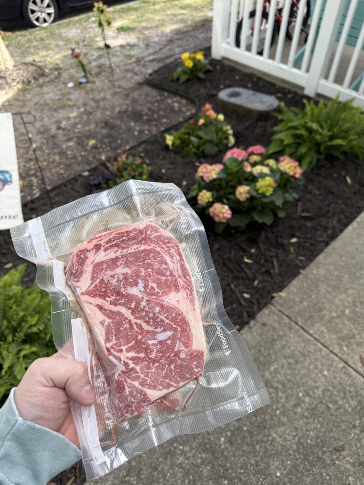 Vacuum seal life span?