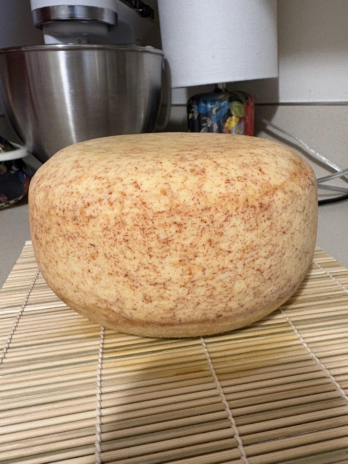 Thai chili infused honey and gochujang gouda cheese. Fresh from the brine bath and ready to age.