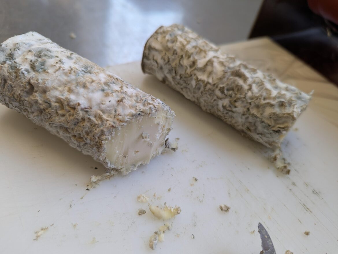 Month old goat log Month old goat log