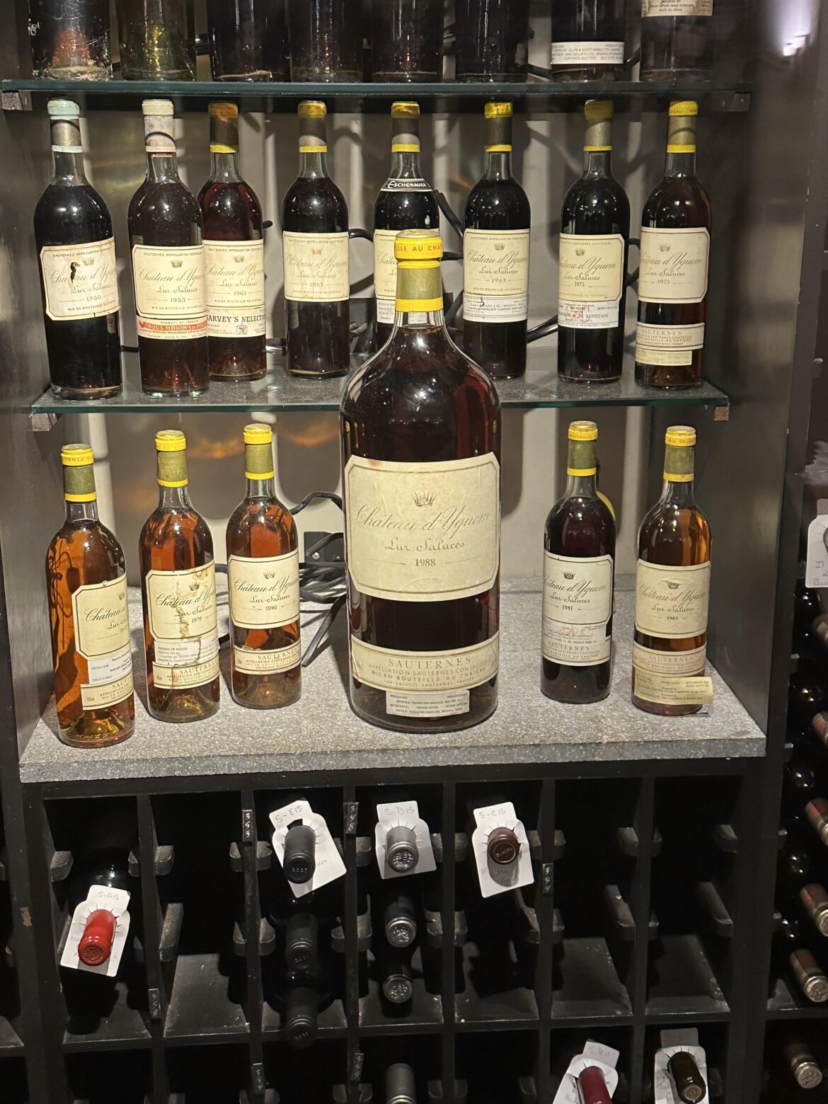 Who wants to go splitsies on the gigaquem??