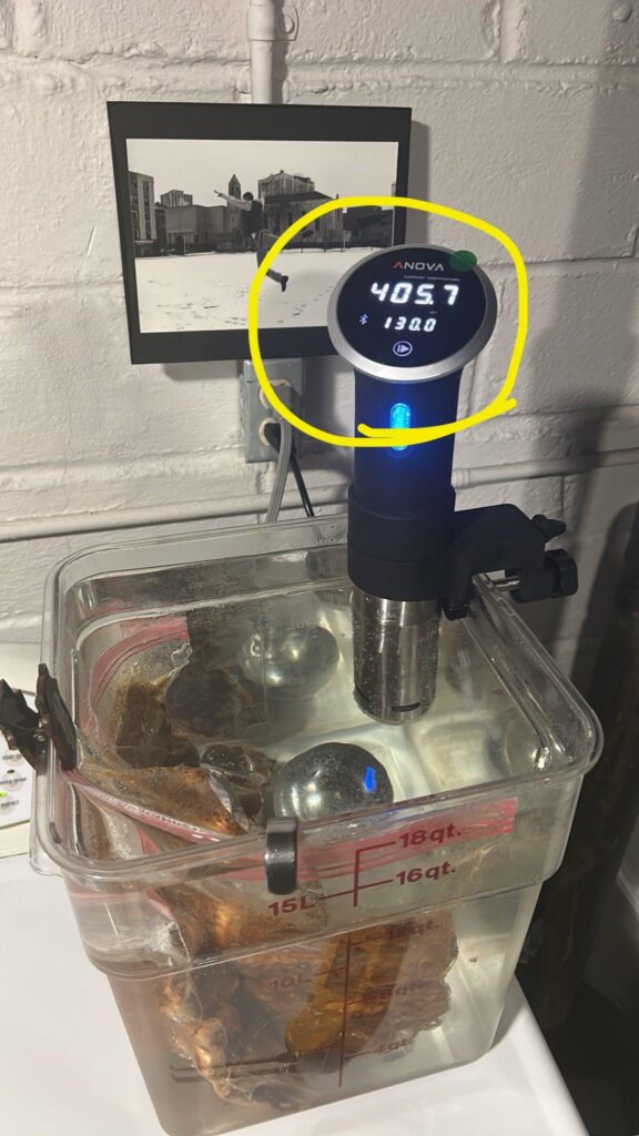 Anova Thermometer gives up and goes bananas