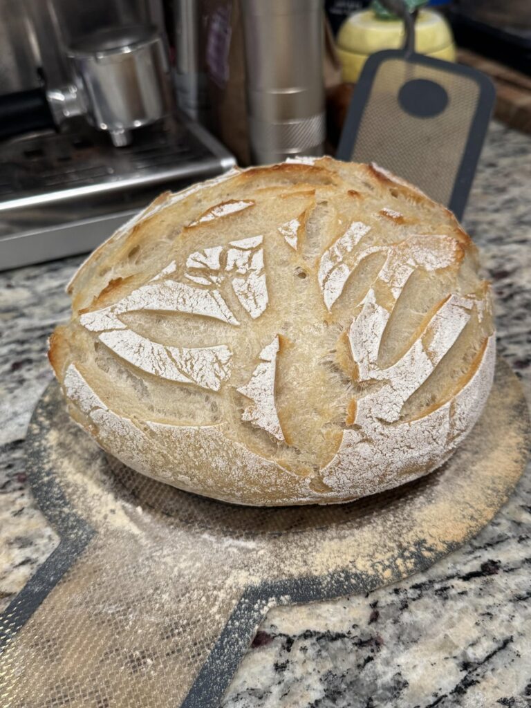 I may not have made the perfect loaf. But I am drunk & I took some pictures under a microscope.