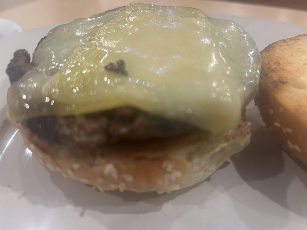 Orion Diner & Grill’s cheeseburger with coleslaw and pickle