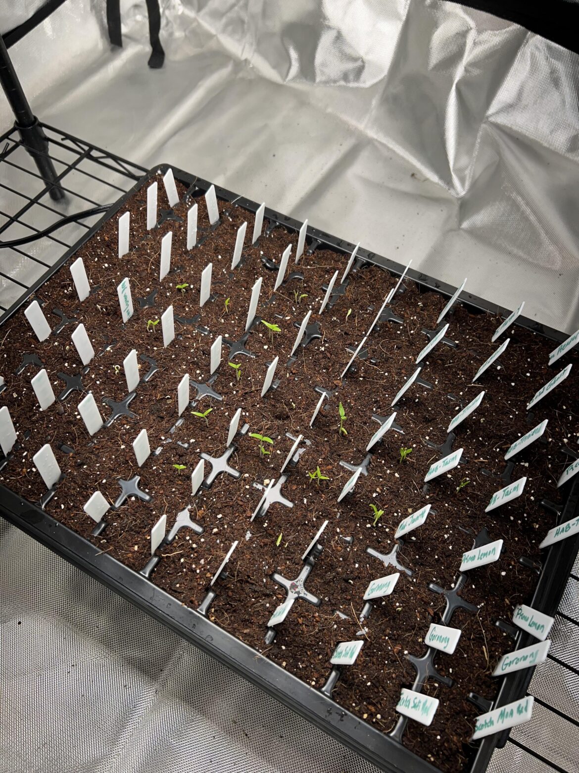 Chill-Influence Chill-Influence