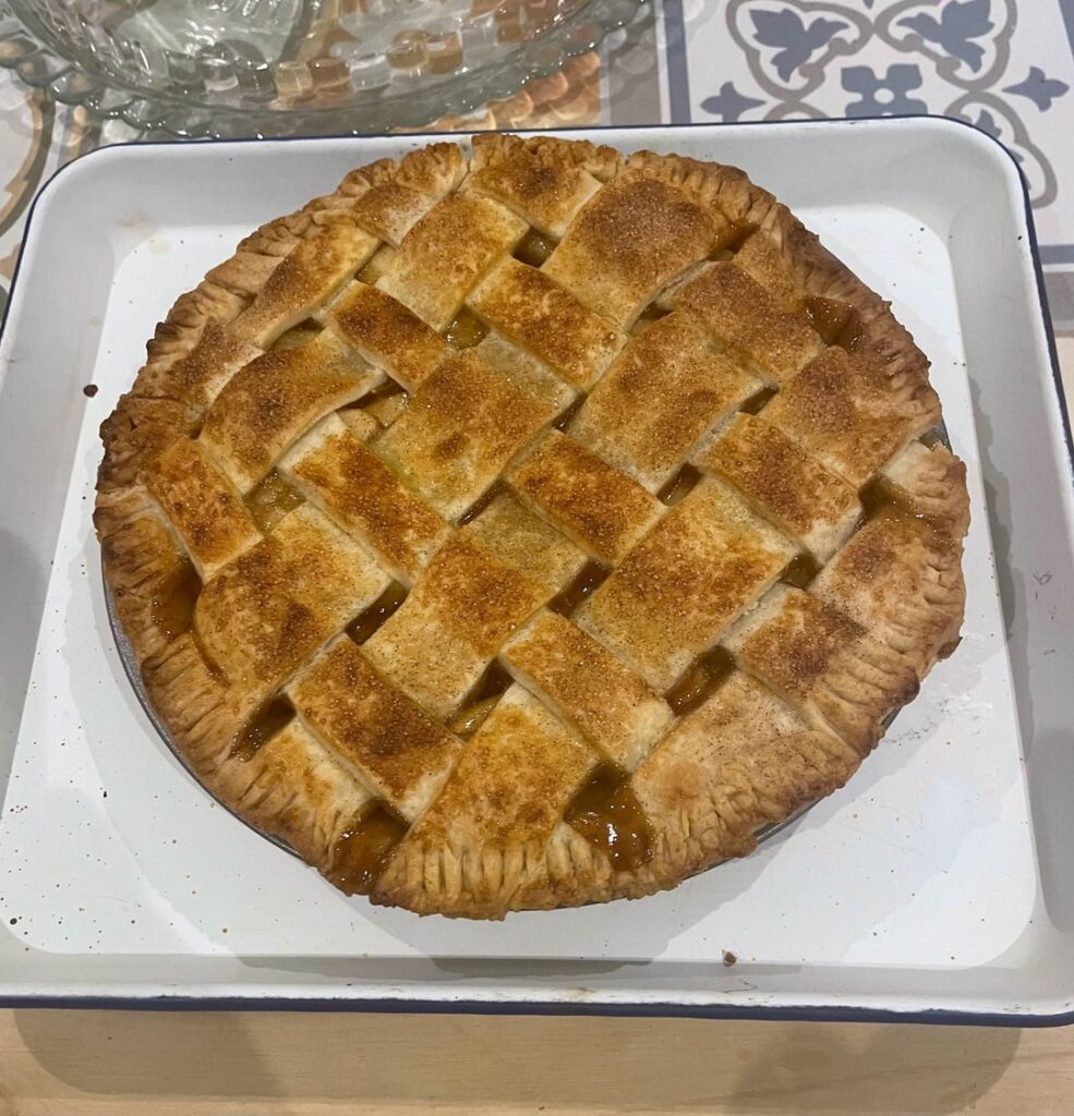 Made my first ever apple pie. Yall are insane this took all day.