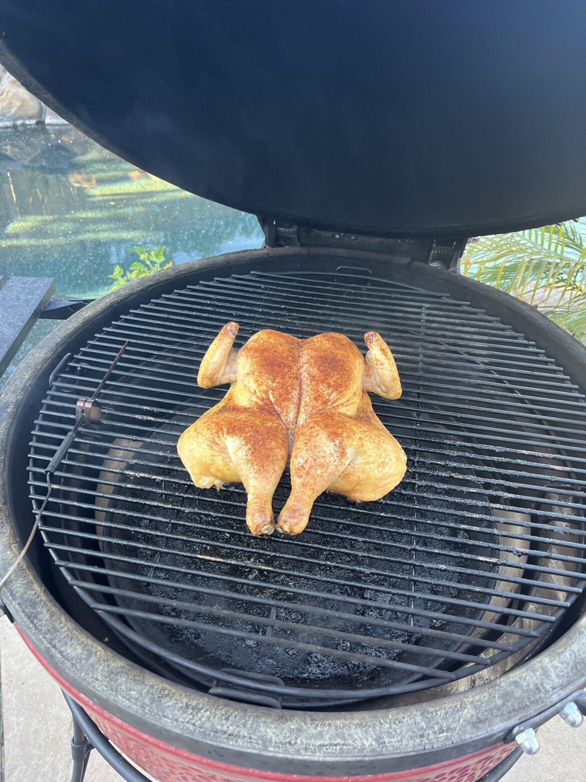 Smoking bird. He looks lonely, 375 for an hour or so.