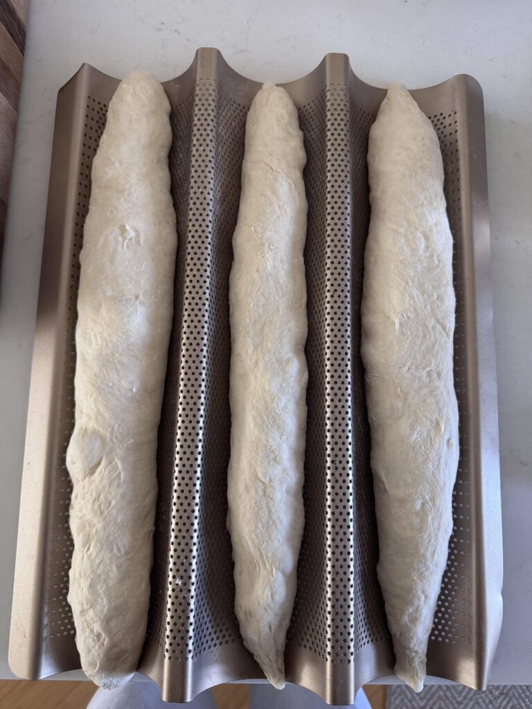 Over or underproofed baguettes? What am I doing wrong? Followed taste of artisan’s recipe to a T