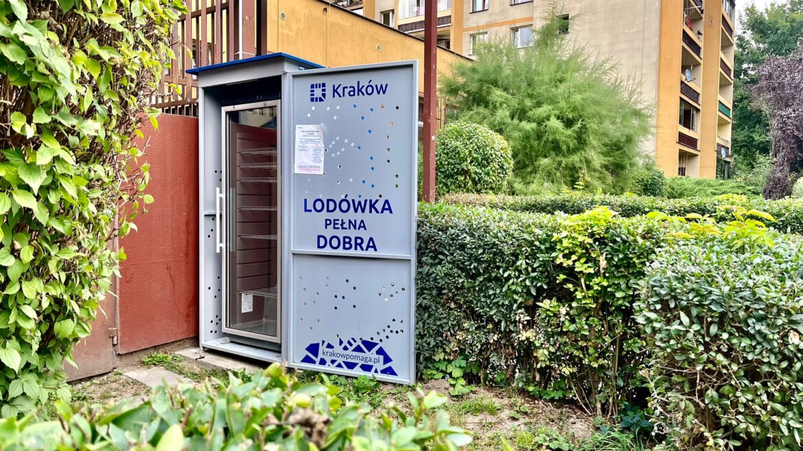 Polish city urges residents to share leftover Christmas food Polish city urges residents to share leftover Christmas food