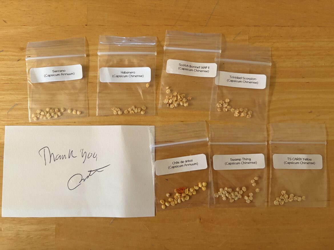 Excited first timer Excited first timer