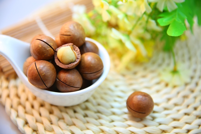 Macadamia nuts. Illustration photo by Pixabay