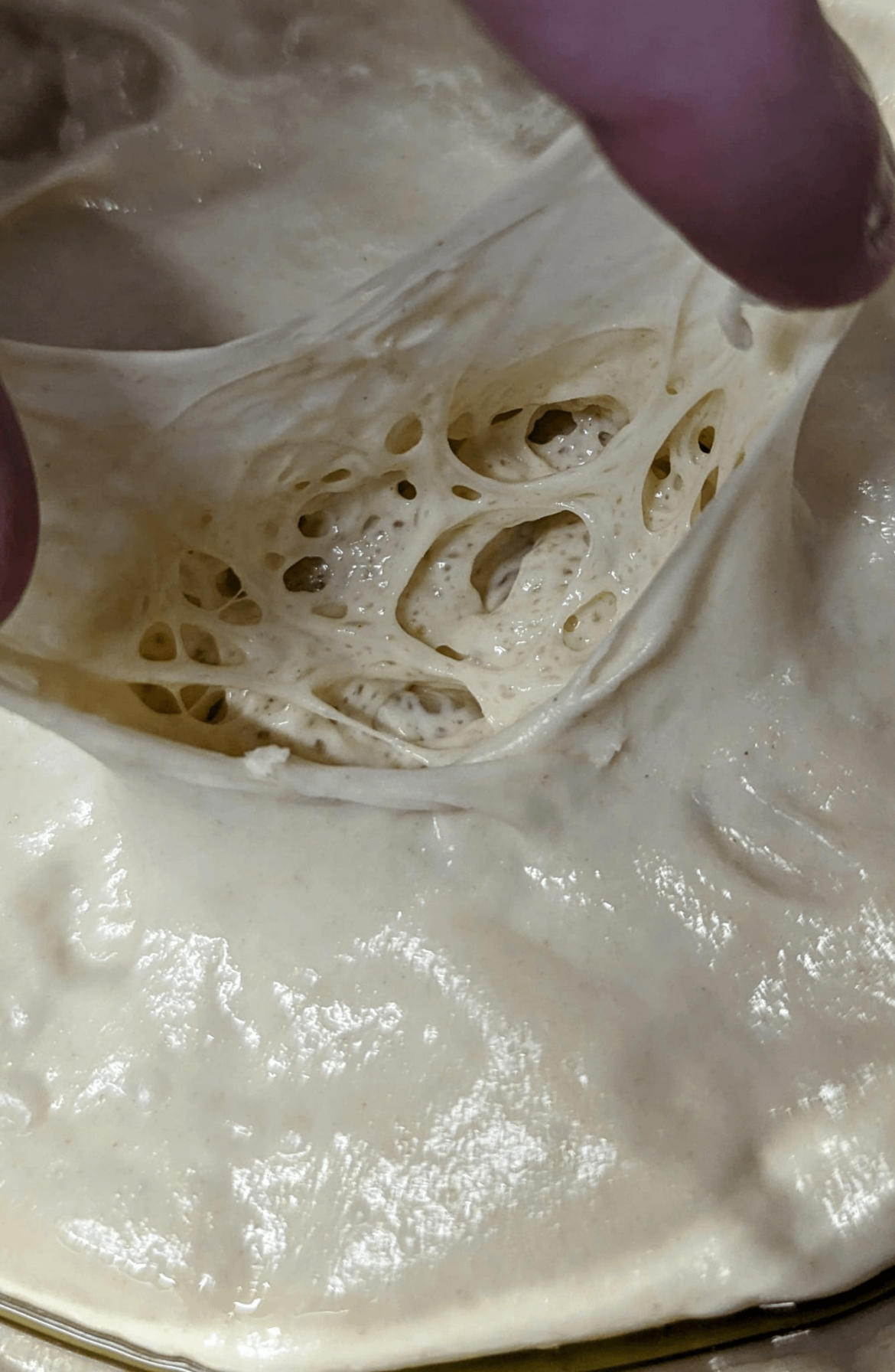 First time using poolish for pizza dough, how is my gluten?