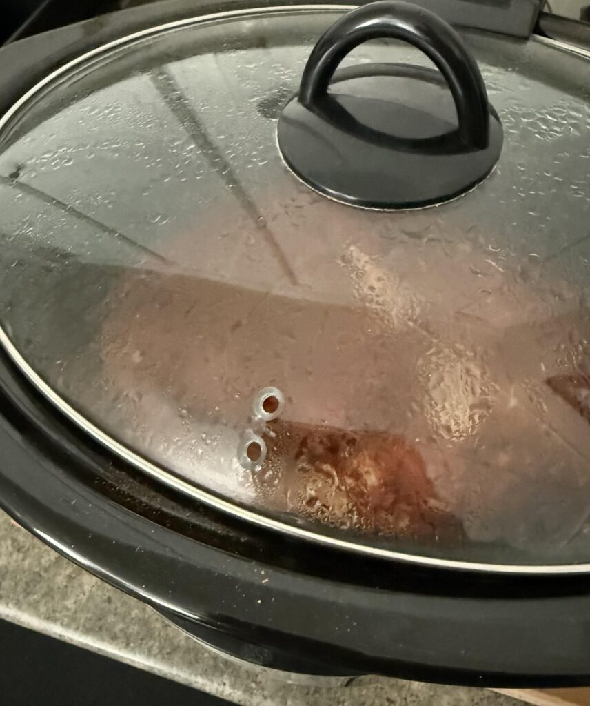 Need help finding a replacement handle for my slow cooker