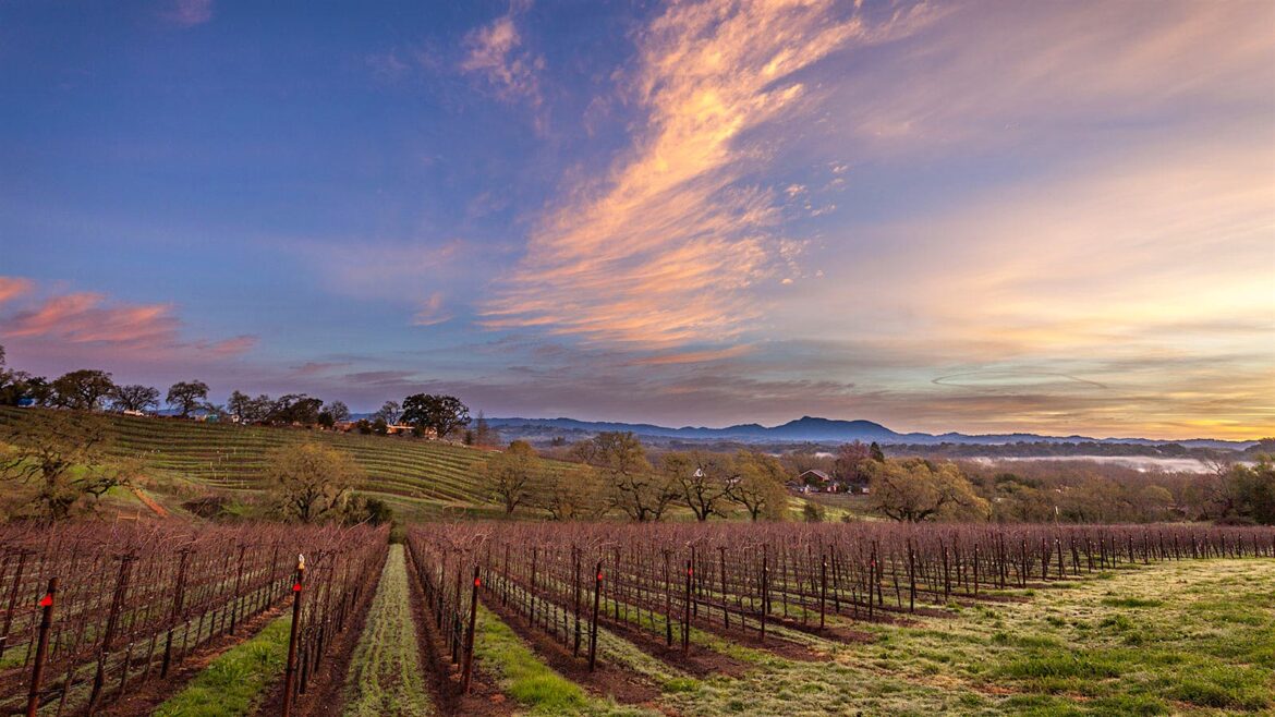 Arista Winery Owners Sell Sonoma Estate Vineyard