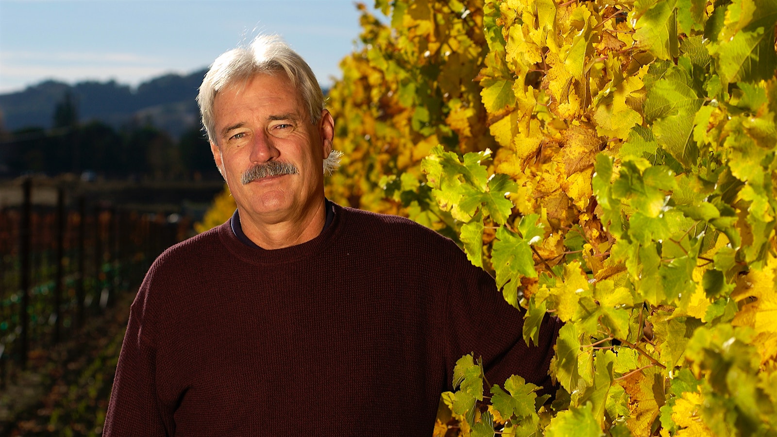 James Laube in a vineyard.