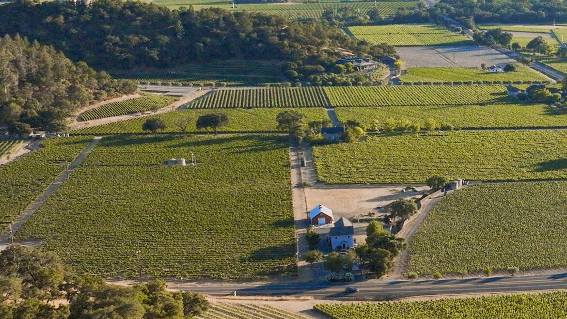 Cliff Lede Acquires Neighboring Vineyard in Stags Leap District Cliff Lede Acquires Neighboring Vineyard in Stags Leap District