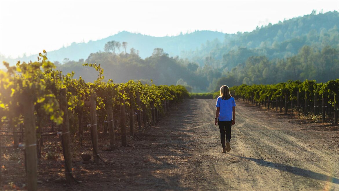 Publicly Traded Duckhorn Wine Company Bought by Private Equity Firm