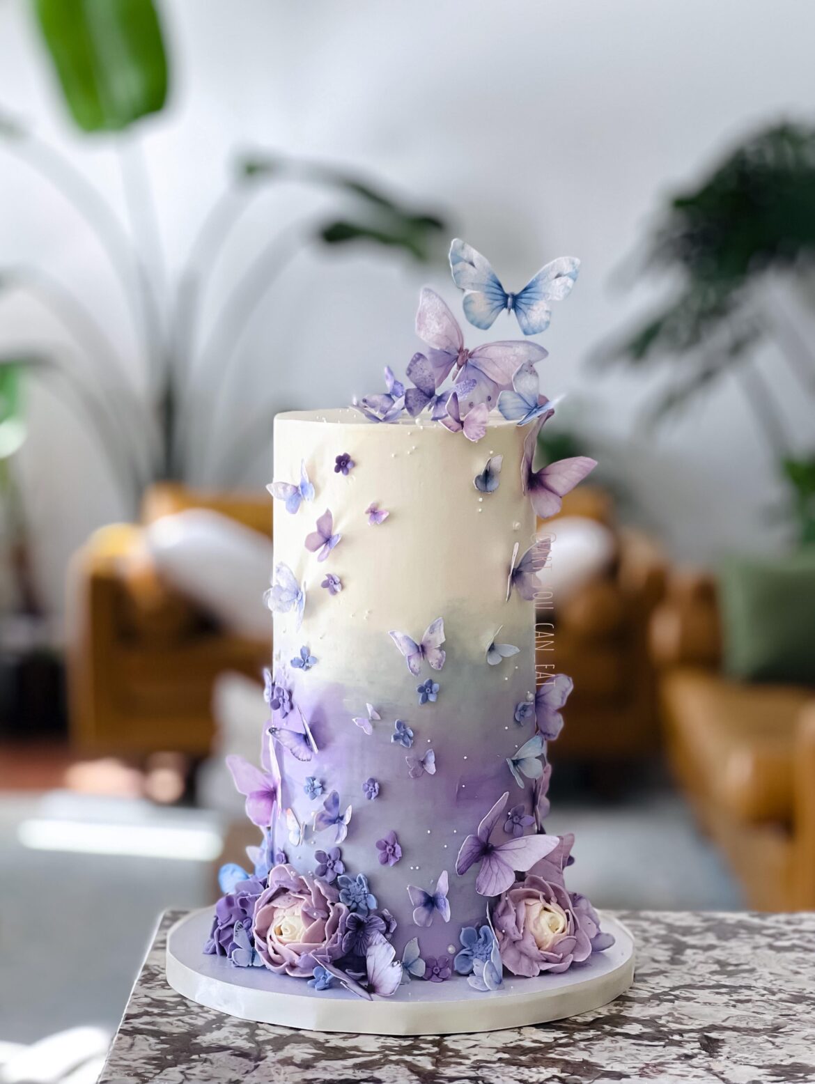 Butterfly cake