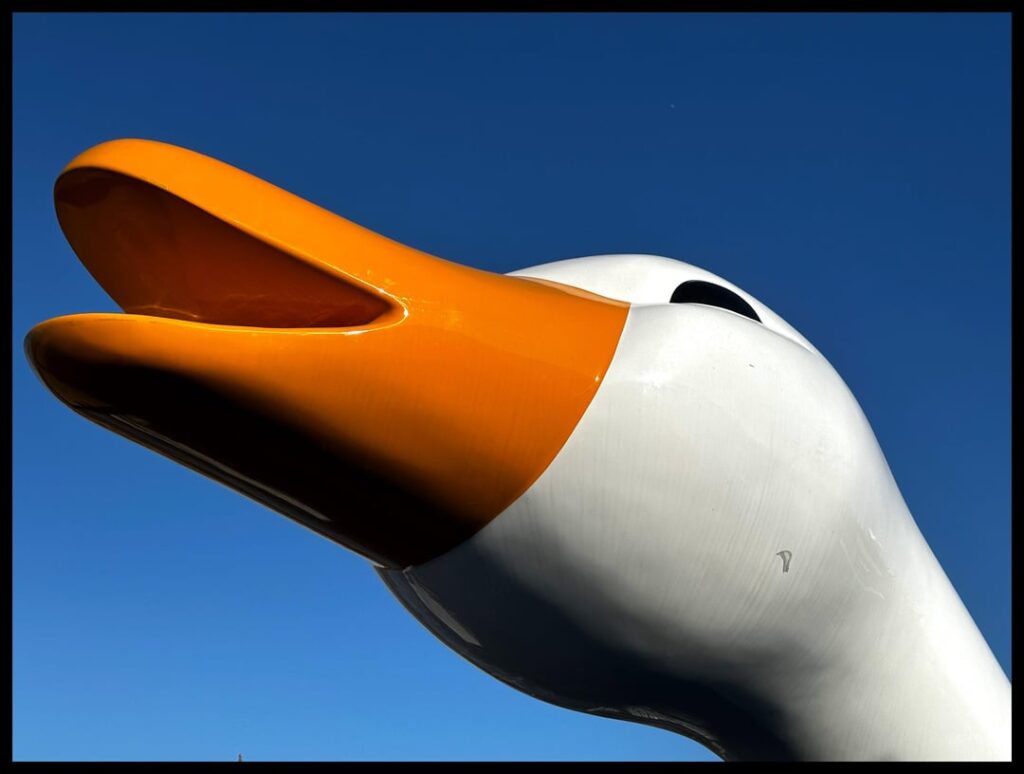 Smash at Goose Salt Shed