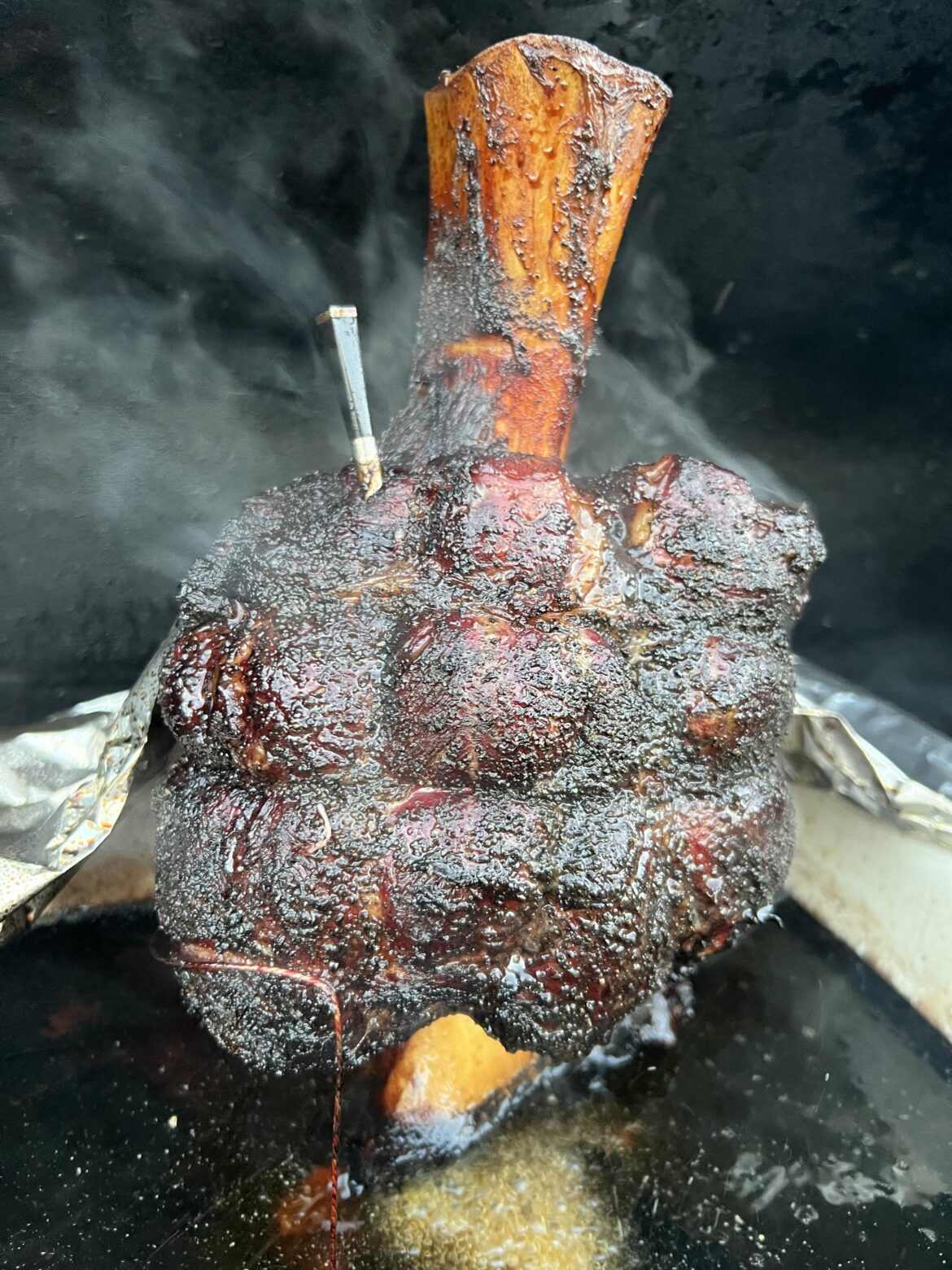 Tried something a bit different, Aussie beef shin