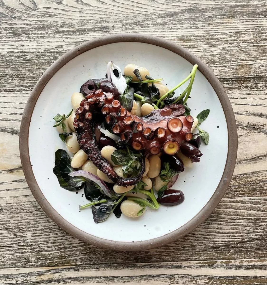 Phos: Greek-American Cuisine is Coming to Catskill