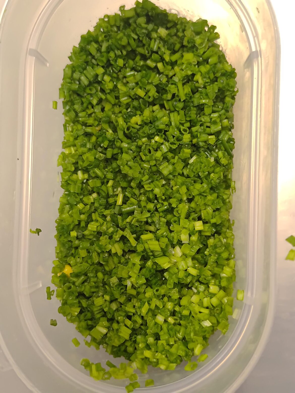 My chef said these are not bad do your worst