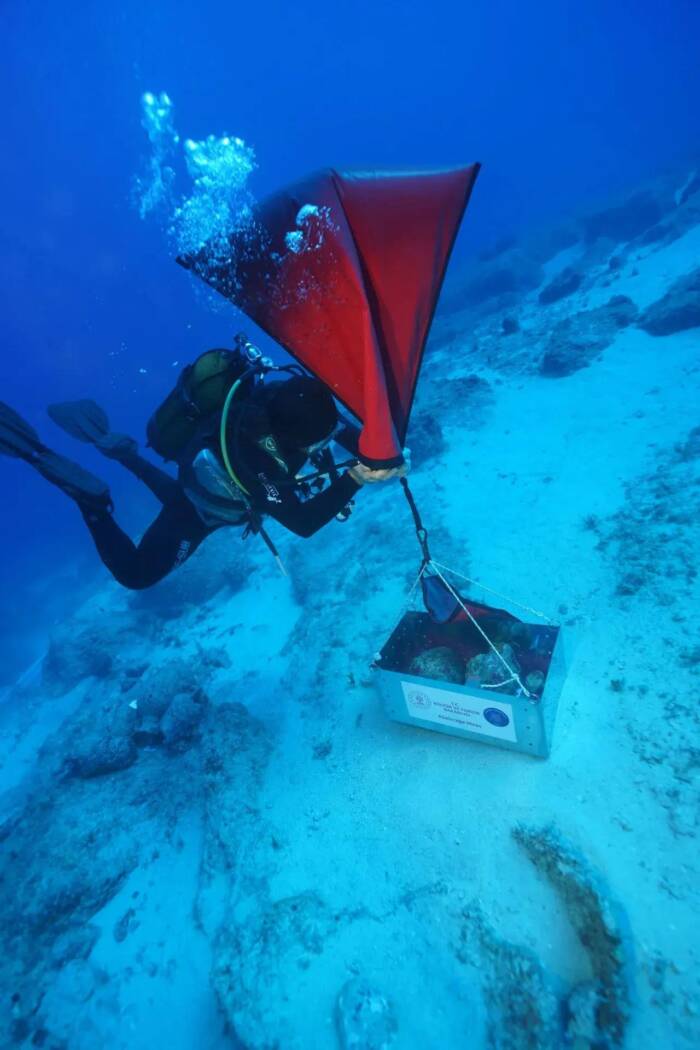 Wreck Of Ship Carrying Olive Oil