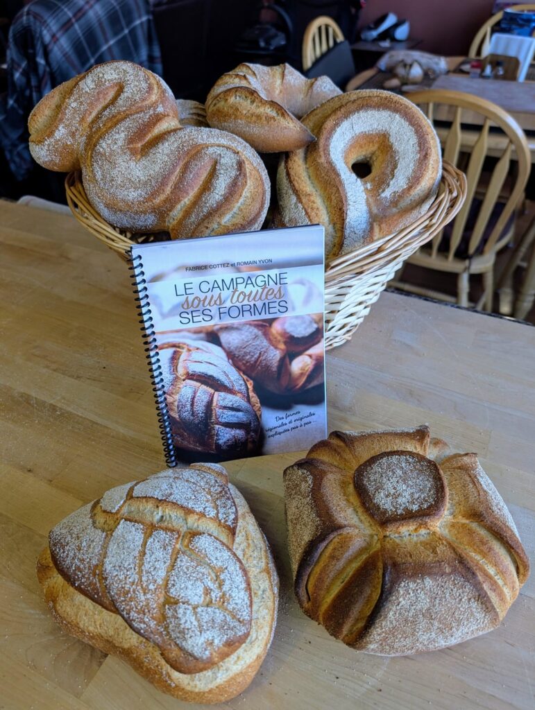 I picked up a new book on shaping pain de campagne, how did I do?