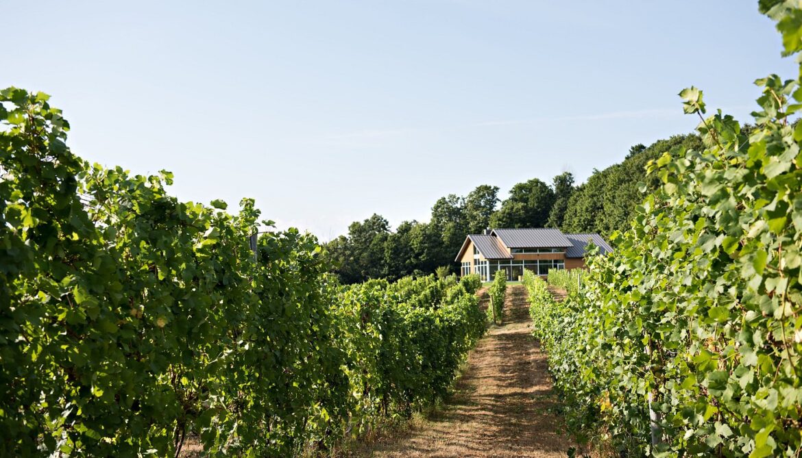 4 Northern RV Regions for Winery Tours & Tastings