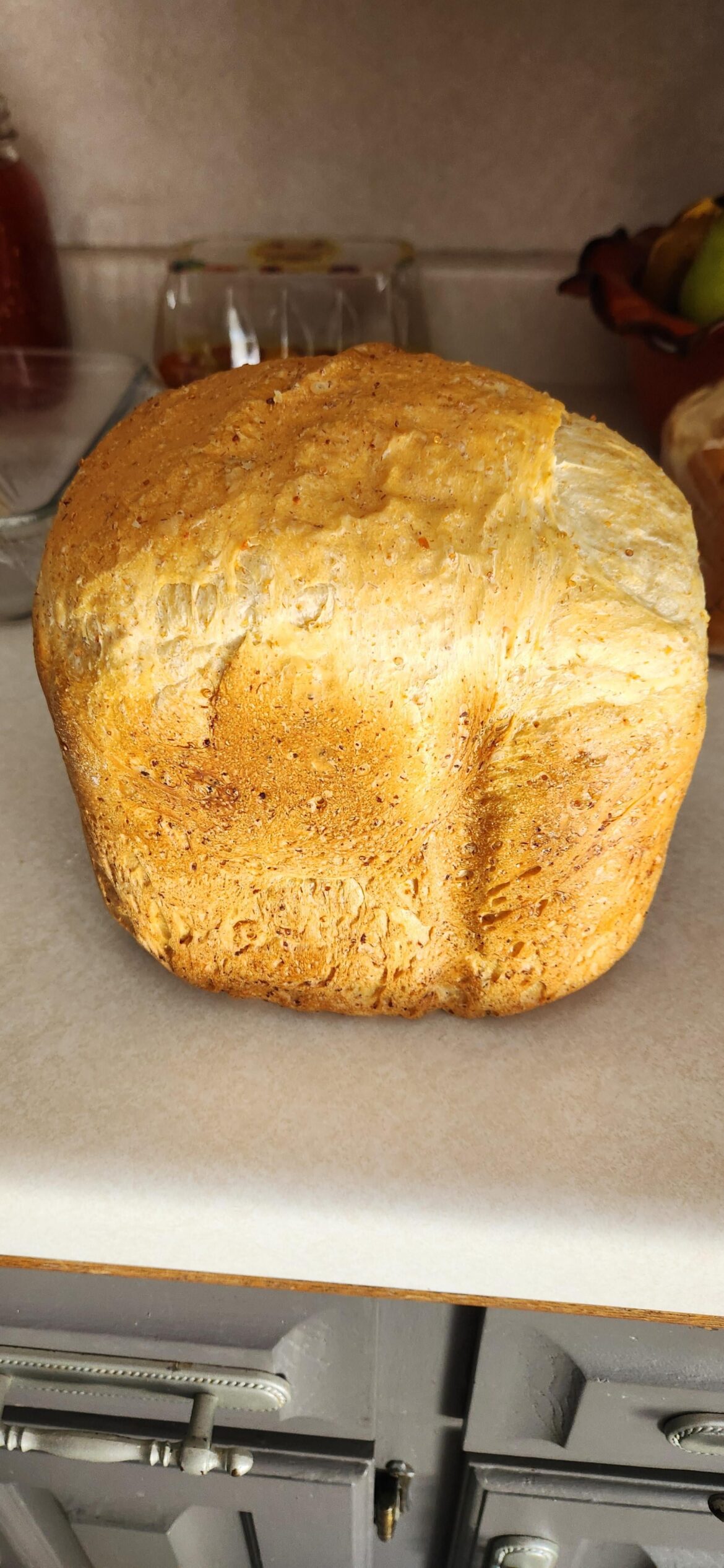 Snow plowed the neighbors driveway yesterday. Refused payment. He brought this over today.