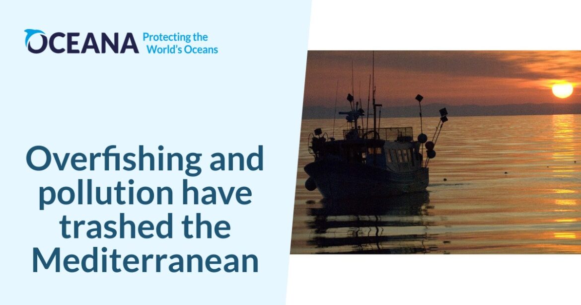 Overfishing and pollution have trashed the Mediterranean Overfishing and pollution have trashed the Mediterranean