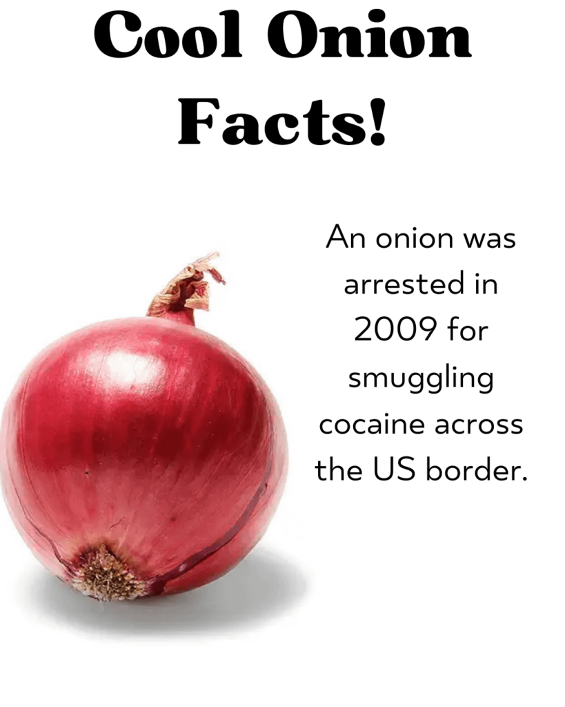 Cool Onion Facts!