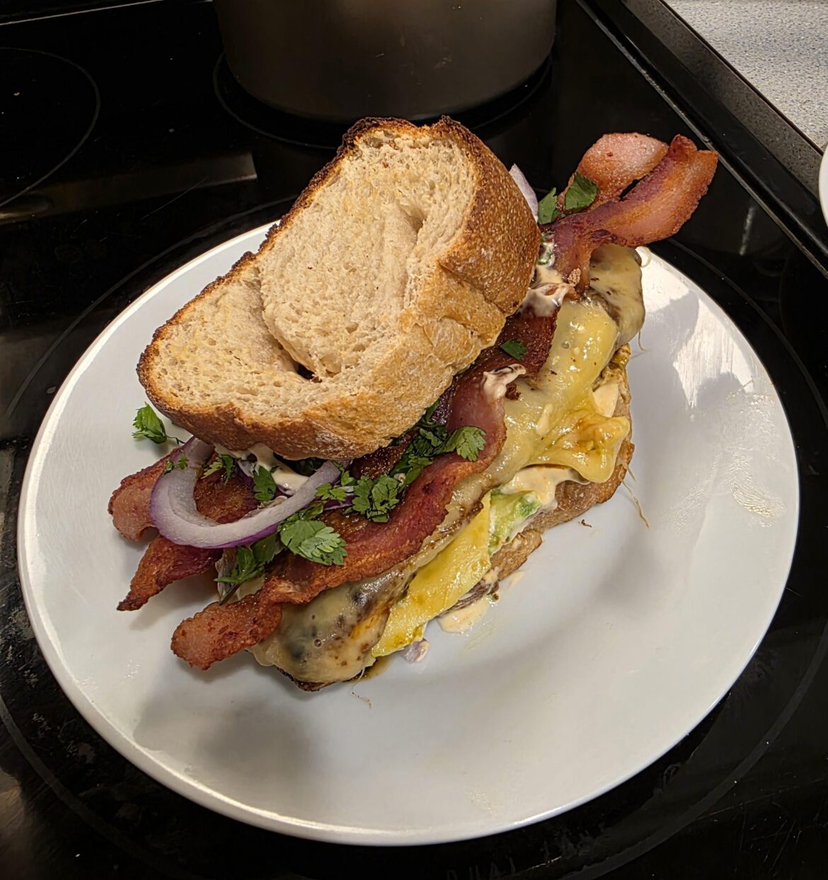 Spicy Chicken sandwich