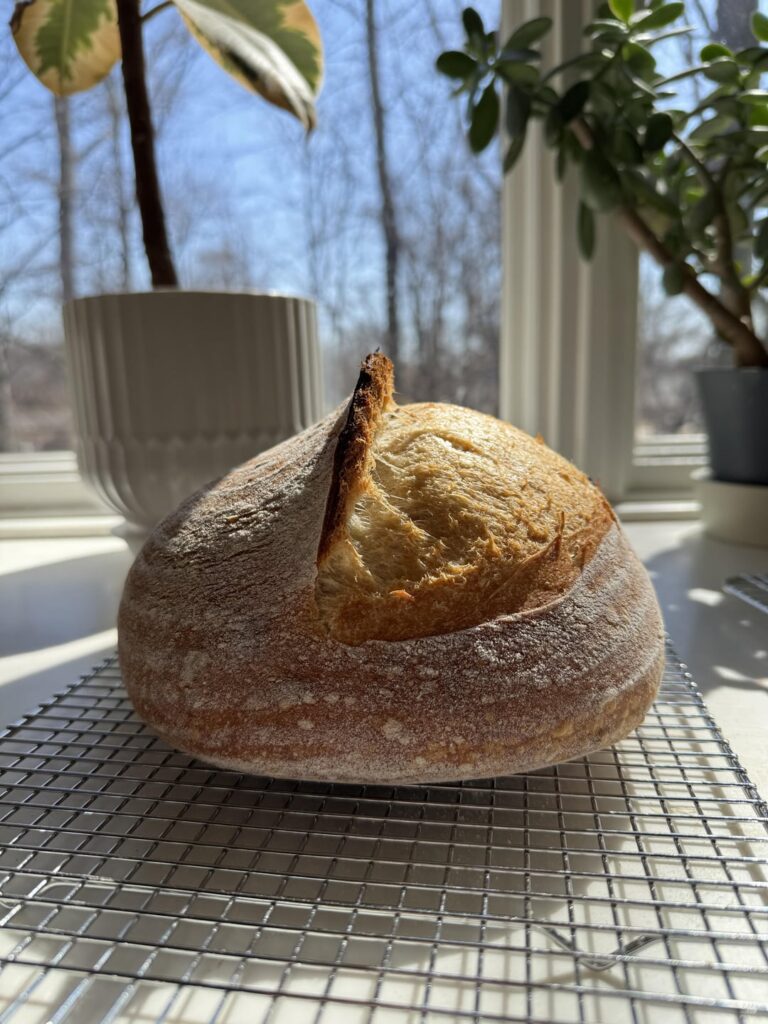 I’m very proud of this one, she can practically hear!