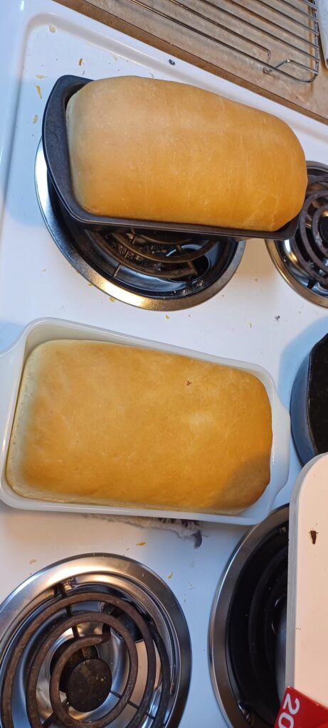 I made some of my first sandwich loaves and I'm so proud of it.