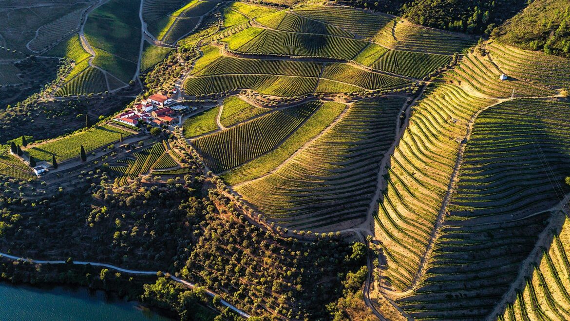 2021 Portuguese Wines Tasting Report