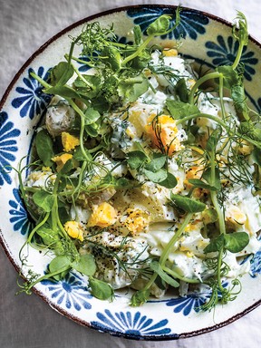 Potato Salad with Tzatziki and Fennel