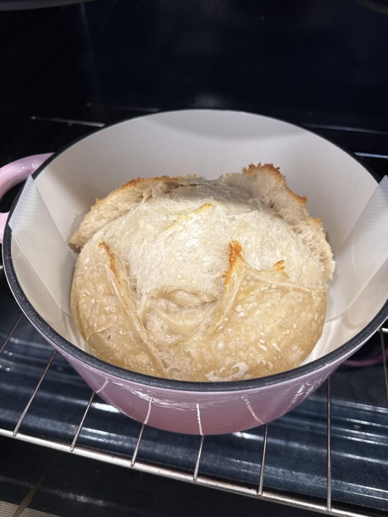 did i do it? did i do it?