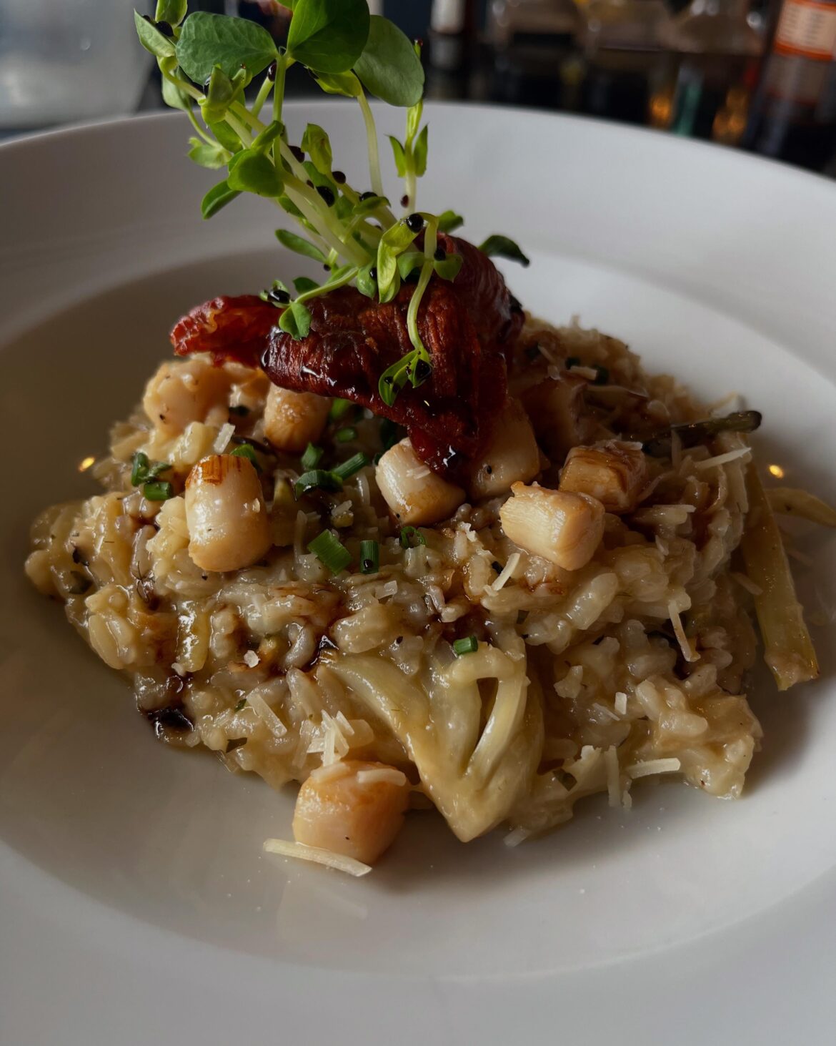 Risotto, charred fennel, scallops, crispy prosciutto, balsamic glaze