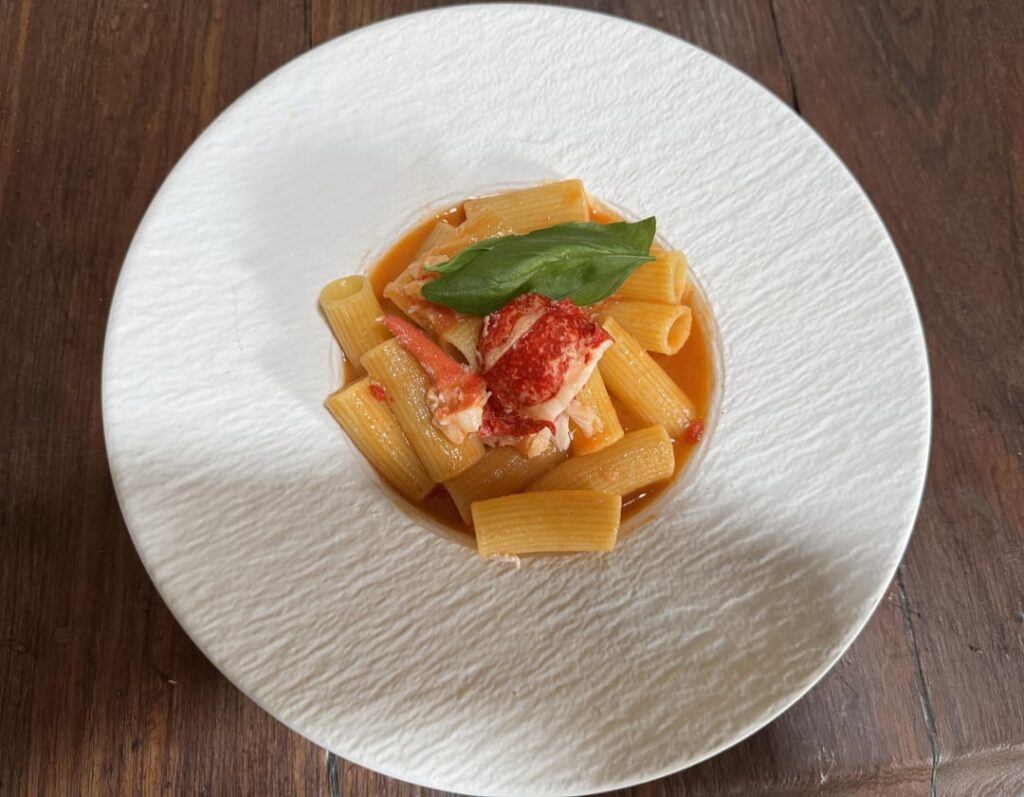 Lobster rigatoni. Reduced tomato sauce, basil and North Sea lobster.