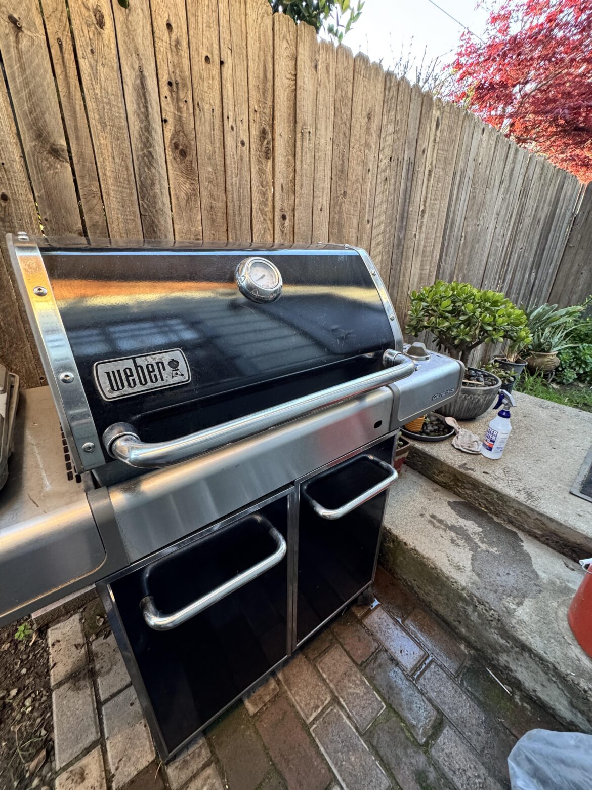 Picked this up for free yesterday!