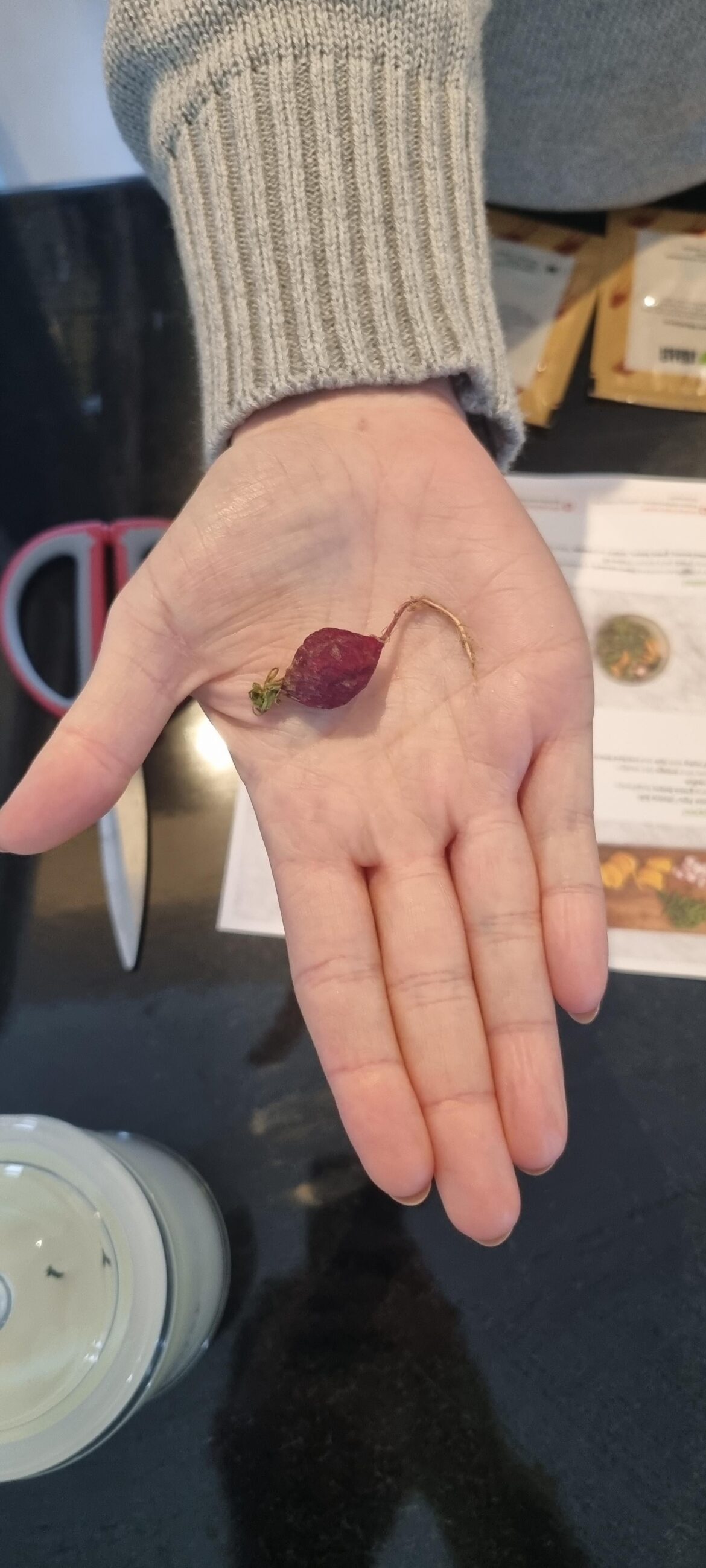 Thinly slice one radish