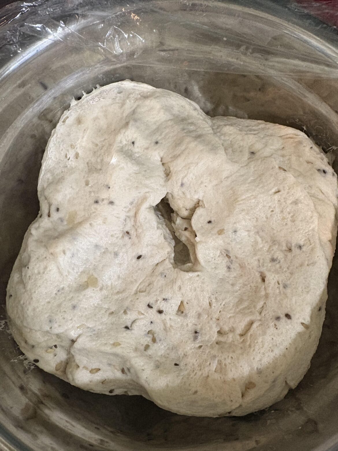 Dough smells slightly alcoholic? Dough smells slightly alcoholic?