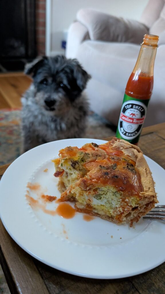 Real men (and dogs)eat quiche...