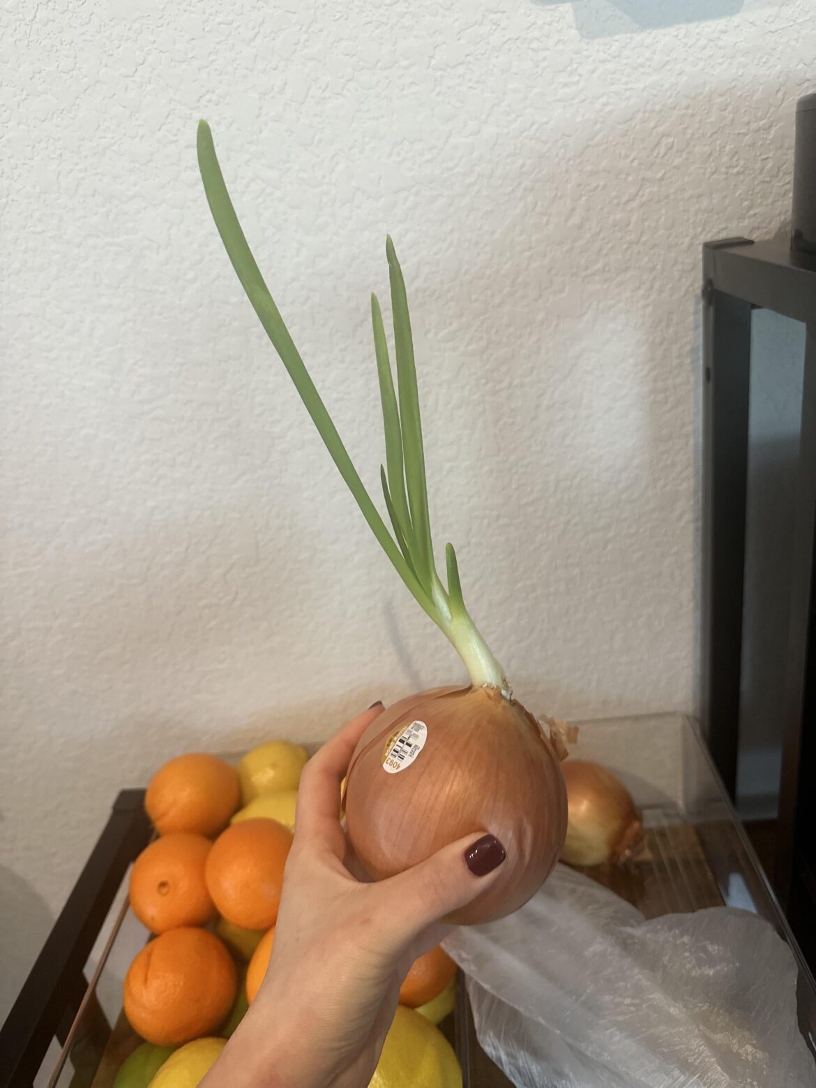 We must teach the simple people of Reddit, the way of the onion