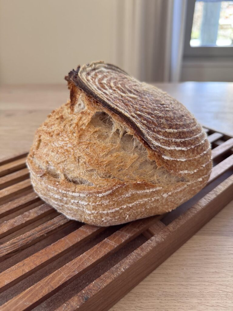 Beginner from Switzerland – My Lievito Madre Bread