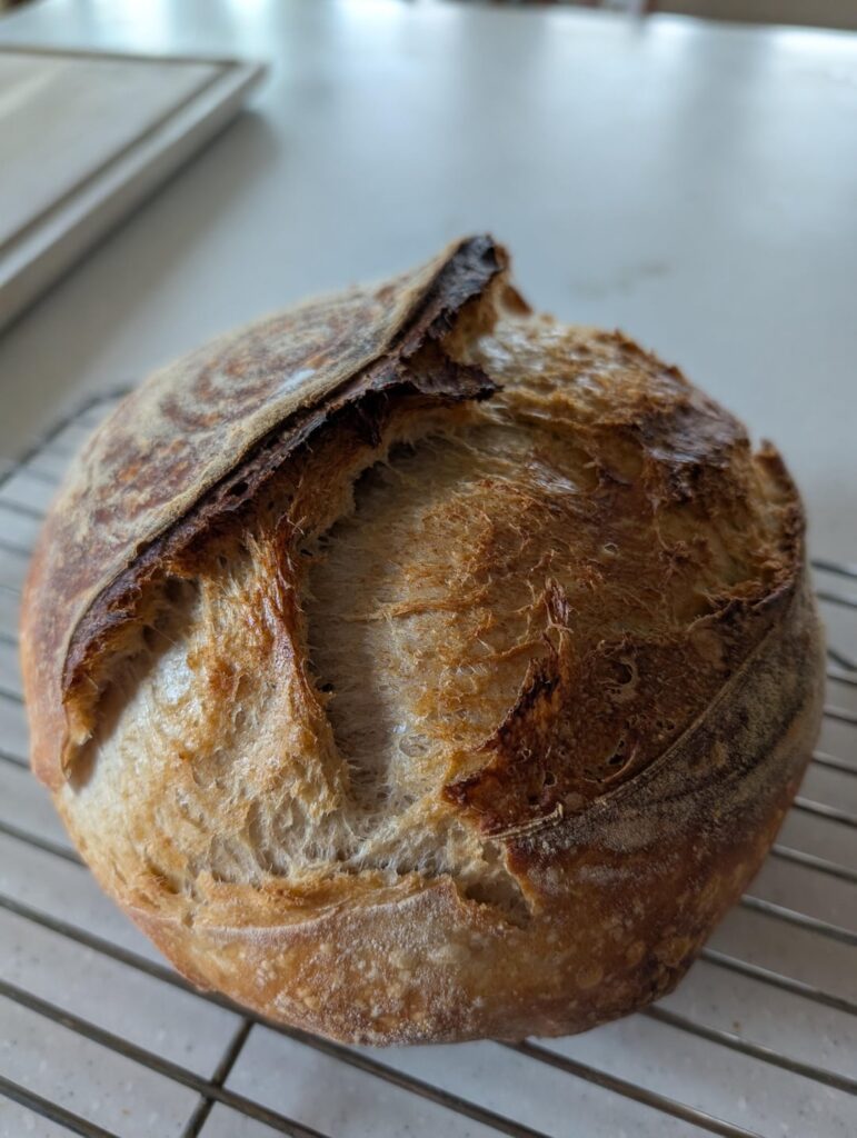 My Best Sourdough Loaf Yet My Best Sourdough Loaf Yet