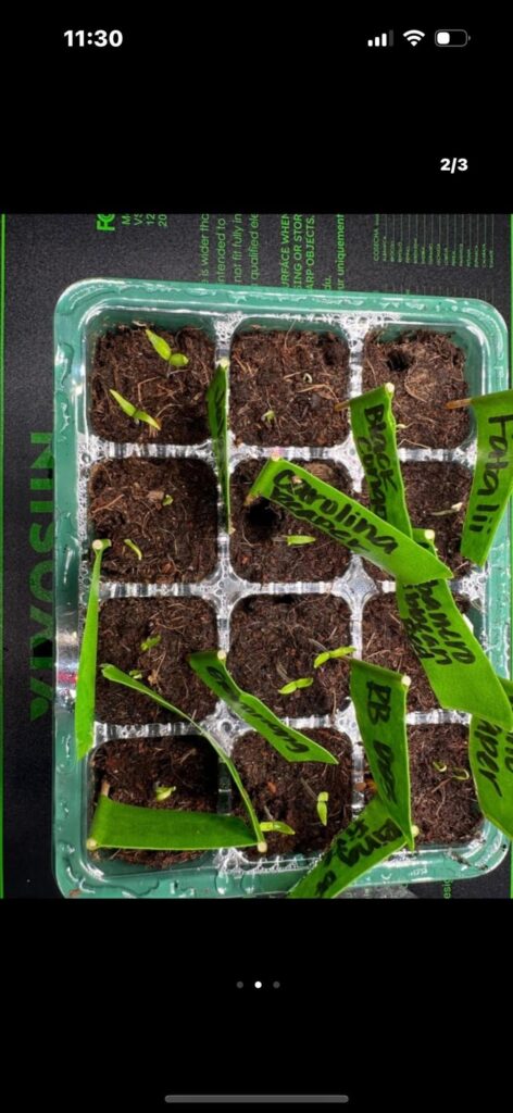 Update and a Question Update and a Question