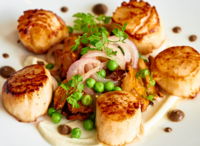 seamark seared scallops