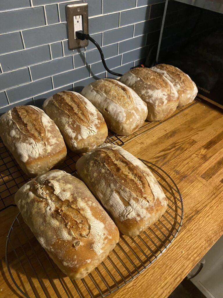 I survived my first festival I survived my first festival