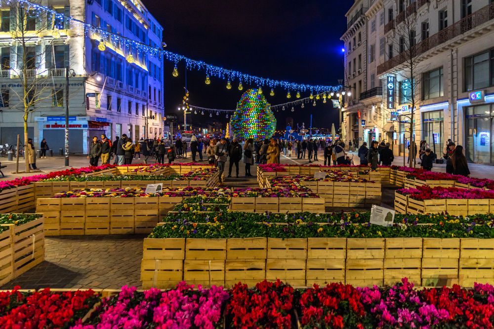Flowers decorating La Canebiere, Marseille, France, during the Christmas season